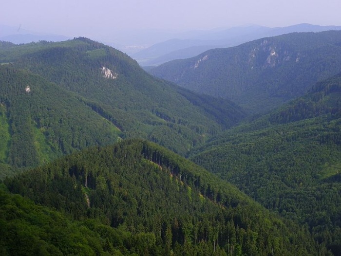 22.-23.6.2013 Murnska planina